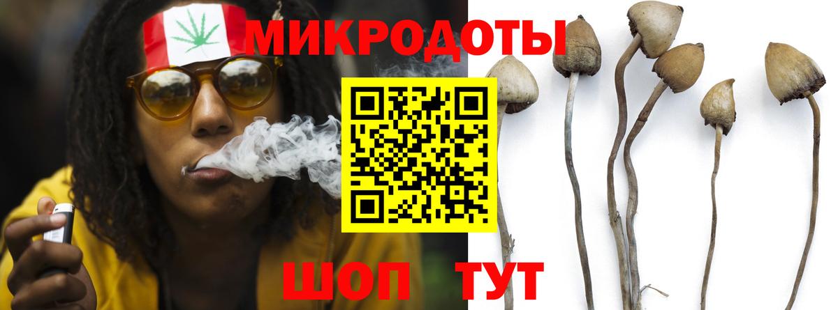 Галлюциногенные грибы Psilocybine cubensis  Галлюциногенные грибы прущие грибы  где купить наркоту  Кисловодск  Вход с VPN 